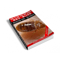 How to Win Your War Against Bed Bugs – Free MRR eBook