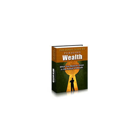The Expert Guide to Pursuing Wealth – Free PLR eBook