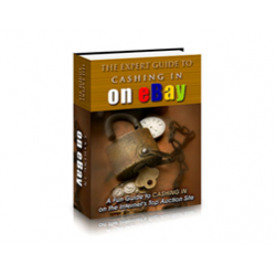 The Expert Guide to Cashing in on eBay – Free PLR eBook