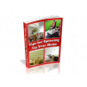 Tips for Sprucing up Your Home – Free PLR eBook