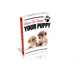 How to Train Your Puppy – Free PLR eBook