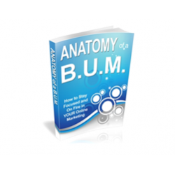 Anatomy of a BUM – Free PLR eBook