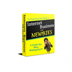 Internet Business for Newbies – Free PLR eBook