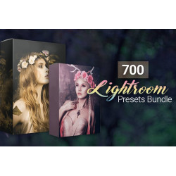 700 Fantastic Lightroom...
