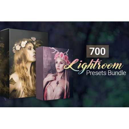 700 Fantastic Lightroom Presets Bundle