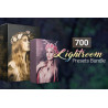 700 Fantastic Lightroom Presets Bundle