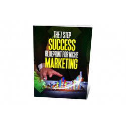 The 7 Step Success Blueprint For Niche Marketing – Free MRR eBook