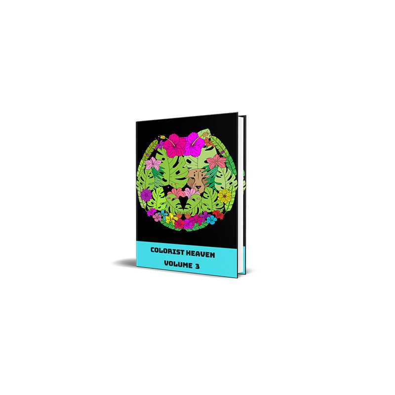 Colorist Heaven Volume 3 – Free MRR eBook
