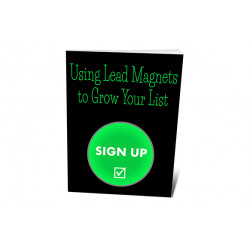 Using Lead Magnets To Grow Your List – Free PLR eBook