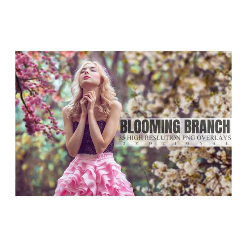 35 Beautiful Blooming Branch Overlays