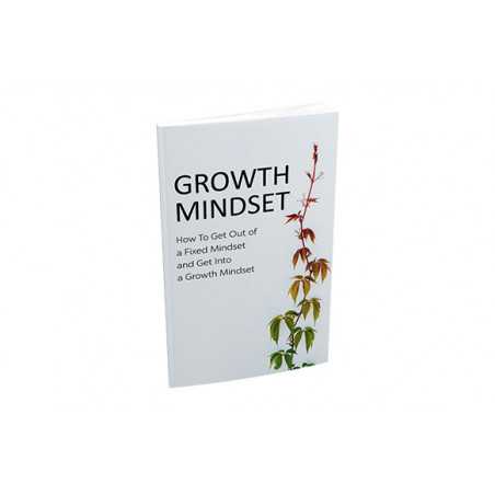 Growth Mindset – Free MRR eBook