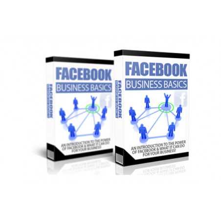 Facebook Business Basics – Free PLR eBook
