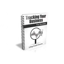 Tracking Your Business for Success – Free PLR eBook