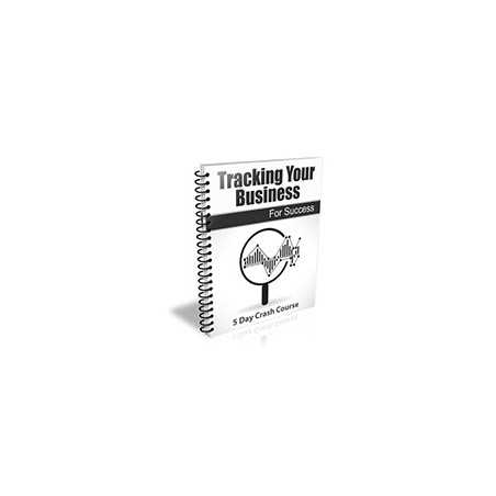 Tracking Your Business for Success – Free PLR eBook