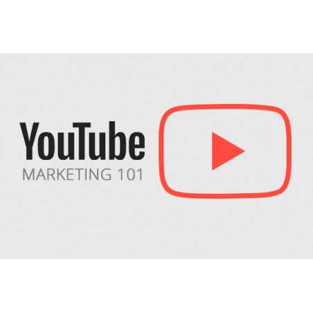 YouTube Marketing 101 – Free PLR Video