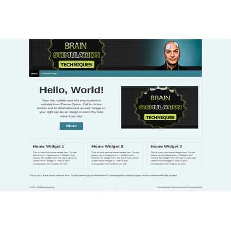 Brain Stimulation Techniques Premium WordPress Theme – Free Website