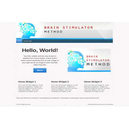 Brain Stimulator Method Premium WordPress Theme – Free Website