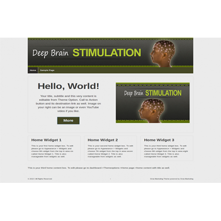 Deep Brain Stimulation Premium WordPress Theme – Free Website