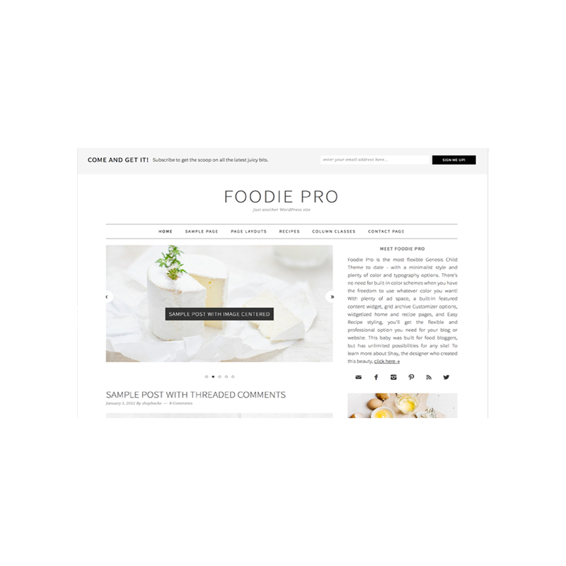 Foodie Pro Genesis FrameWork WordPress Theme – Free Website