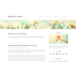 Beautiful Pro WP Theme Genesis FrameWork – Free Website