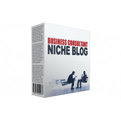 Business Consultant Niche Blog – Free Website