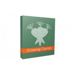Growing Carrots Blog – Free Website