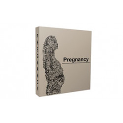 Pregnancy Niche Blog – Free Website