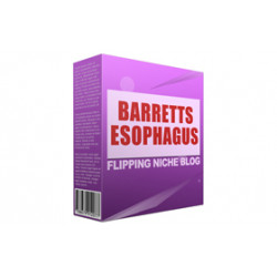 Barretts Esophagus Flipping Niche Blog – Free Website