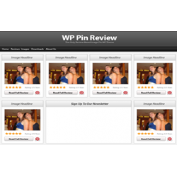 Pin Review WordPress Theme – Free Website