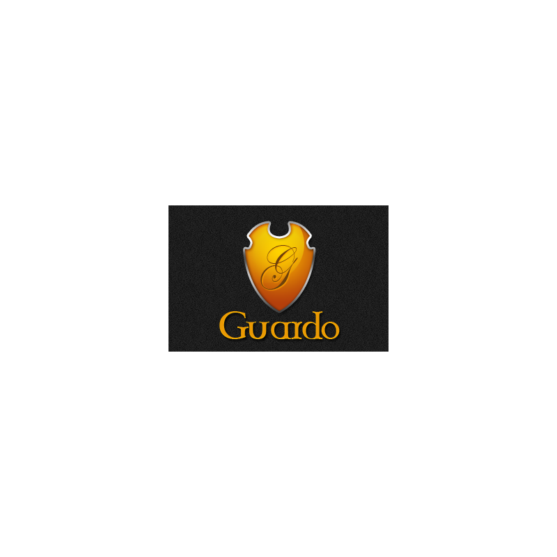 Guardo Premium WP Theme – Free Website