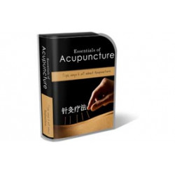 Acupuncture HTML PSD Template – Free MRR Website