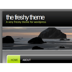 The Freshy WP Theme – Free PLR Website