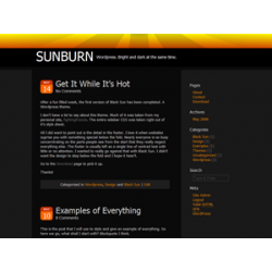 Sun Burn WP Theme – Free PLR Website