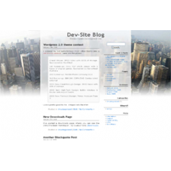 New York New York v11 WP Theme – Free PLR Website