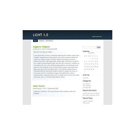 Light 1.0 WP Theme – Free PLR Website