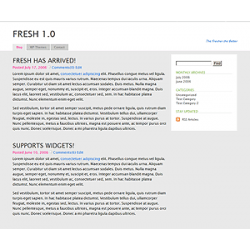 Fresh 1.0 WP Theme – Free PLR Website