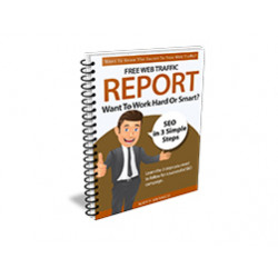 Free Web Traffic Report – Free PLR eBook