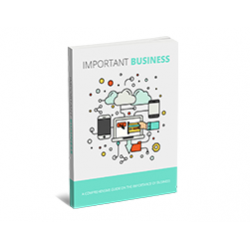 Important Business – Free MRR eBook