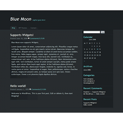 Blue Moon WP Theme – Free PLR Website