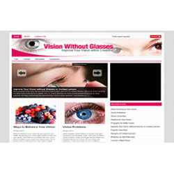 Vision Without Glasses Niche WP Theme – Free PLR Website