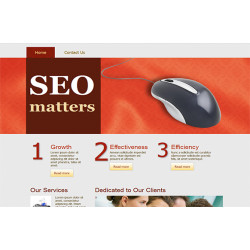 SEO Matters HTML Template and WP Theme – Free PLR Website