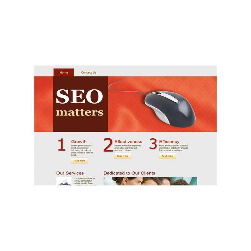 SEO Matters HTML Template and WP Theme – Free PLR Website