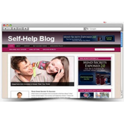 Self Help Niche WP Theme – Free PLR Website