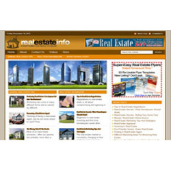 Real Estate Niche WP Theme – Free PLR Website
