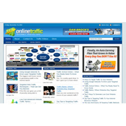 Online Traffic WP Niche Theme – Free PLR Website