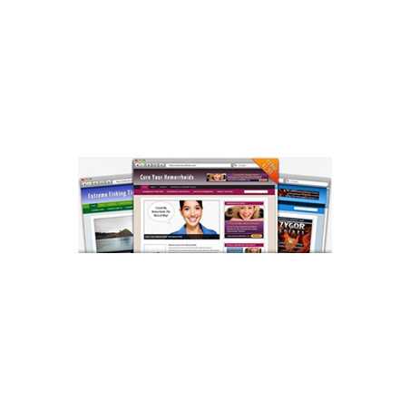 Niche WP Theme and Template – Free PLR Website