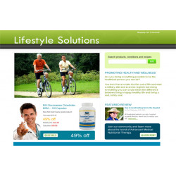 Lifestyle Solutions HTML and PSD Template – Free PLR Website