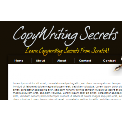Copy Writing Review WordPress Theme – Free MRR Website